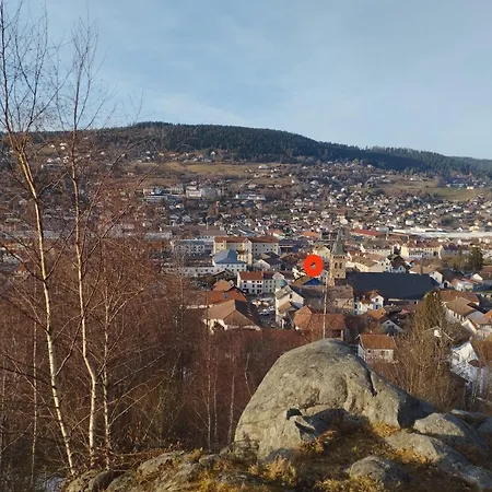 Au Cœur Du Centre De *