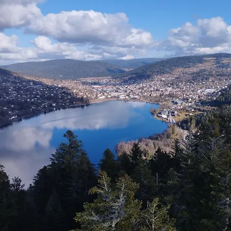 Au Coeur Du Centre De *